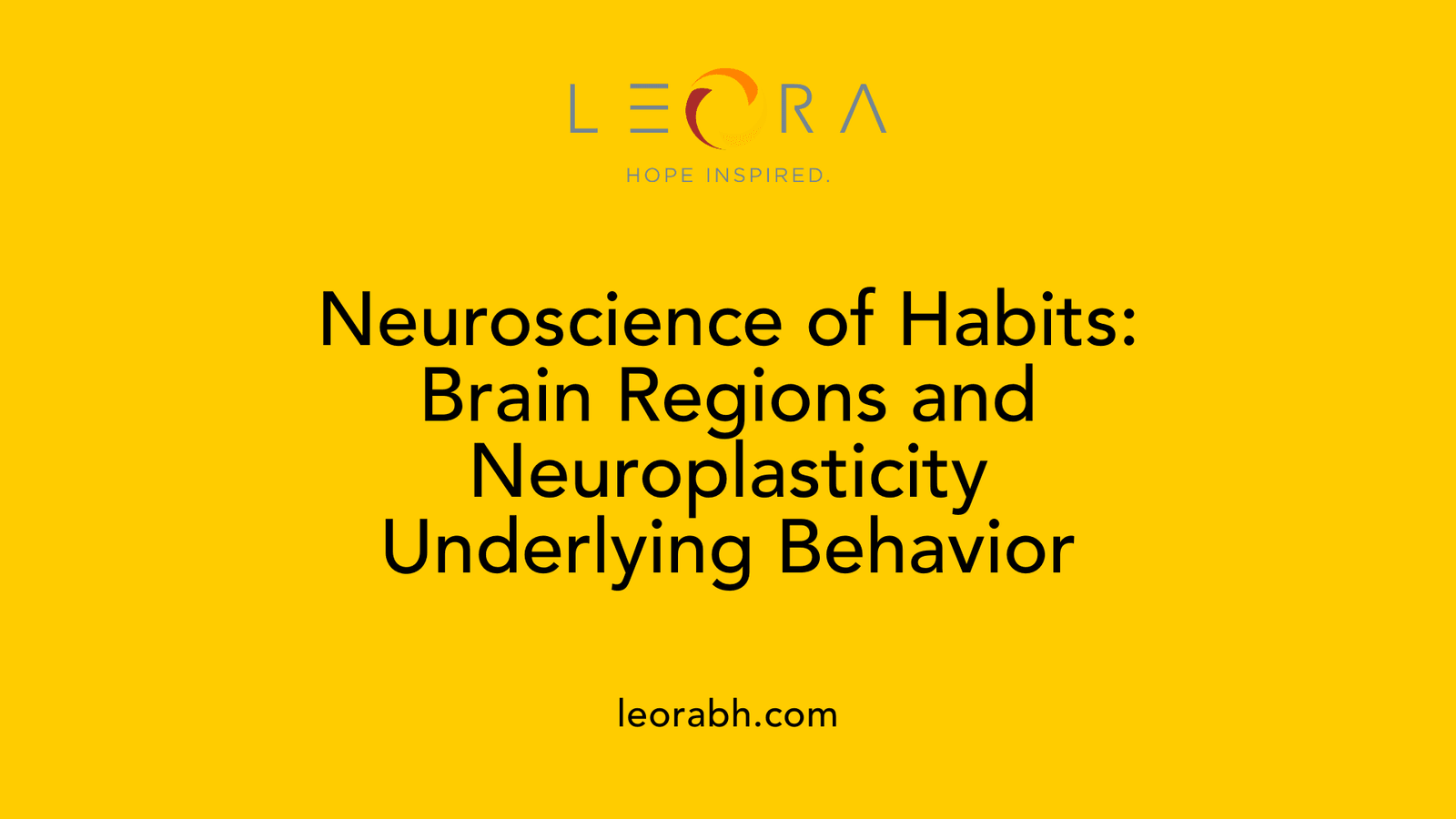 Neuroscience of Habits: Brain Regions and Neuroplasticity Underlying Behavior